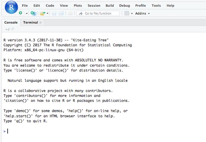 Rstudio Screen Rstudio Screen